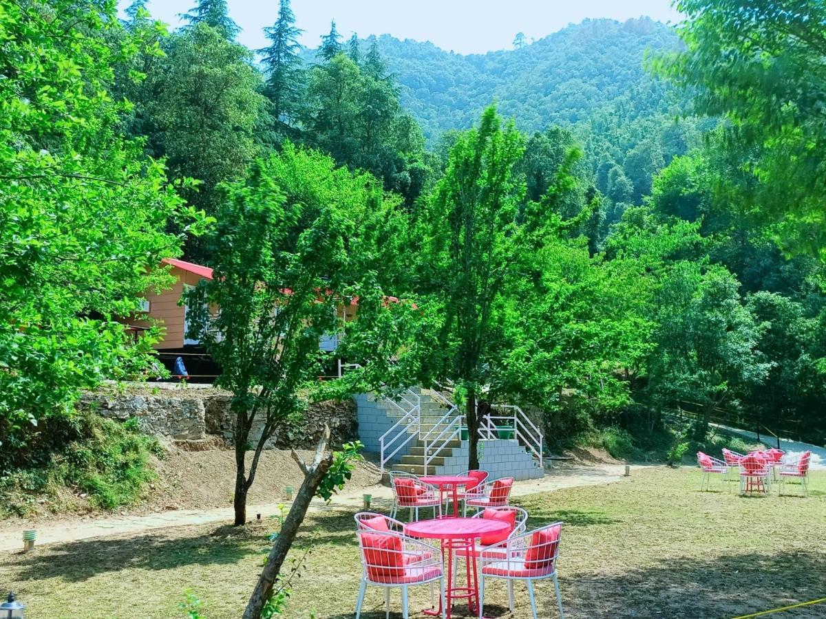 Aaroham Resort Shimla ! Luxury Cottage By Aamod Group Экстерьер фото