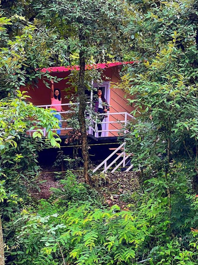 Aaroham Resort Shimla ! Luxury Cottage By Aamod Group Экстерьер фото