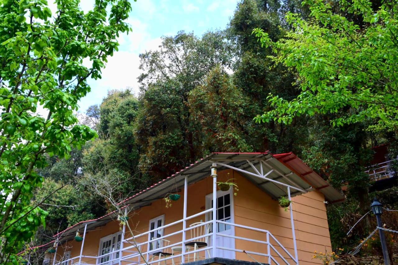 Aaroham Resort Shimla ! Luxury Cottage By Aamod Group Экстерьер фото