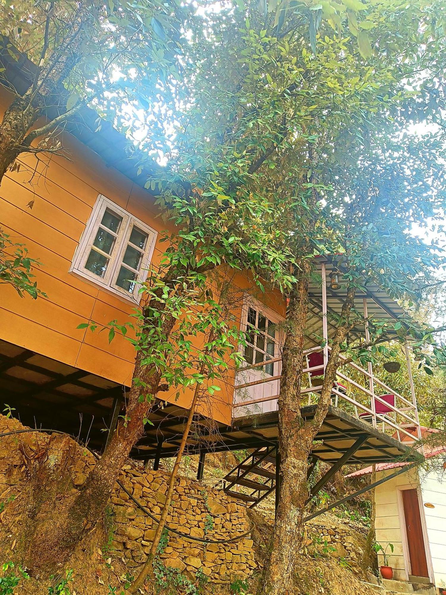 Aaroham Resort Shimla ! Luxury Cottage By Aamod Group Экстерьер фото